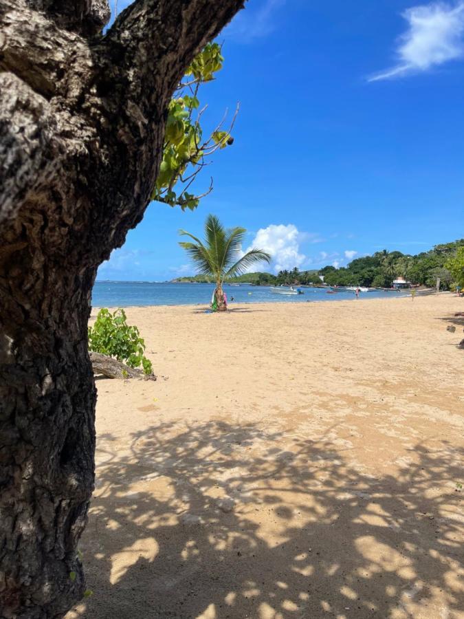Appartement Vue Mer A 2 Minutes A Pied Des Plages Tartane Trinite  Exterior foto